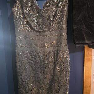 Stunning Tadashi Bodycon Lace Dress